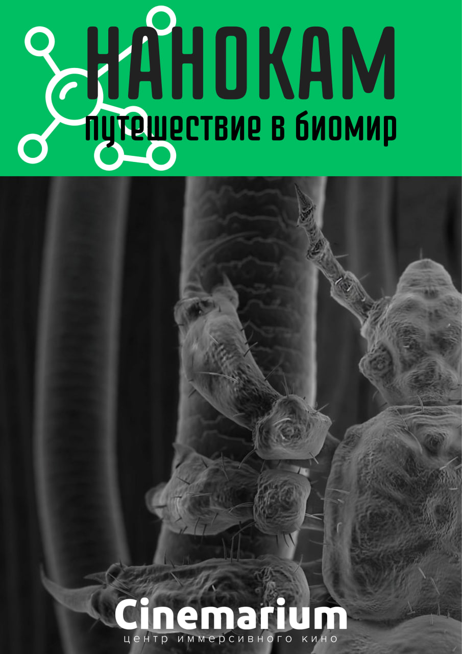 Фото - постер к Кино Нанокам. Путешествие в биомир на kudapoiti.by
