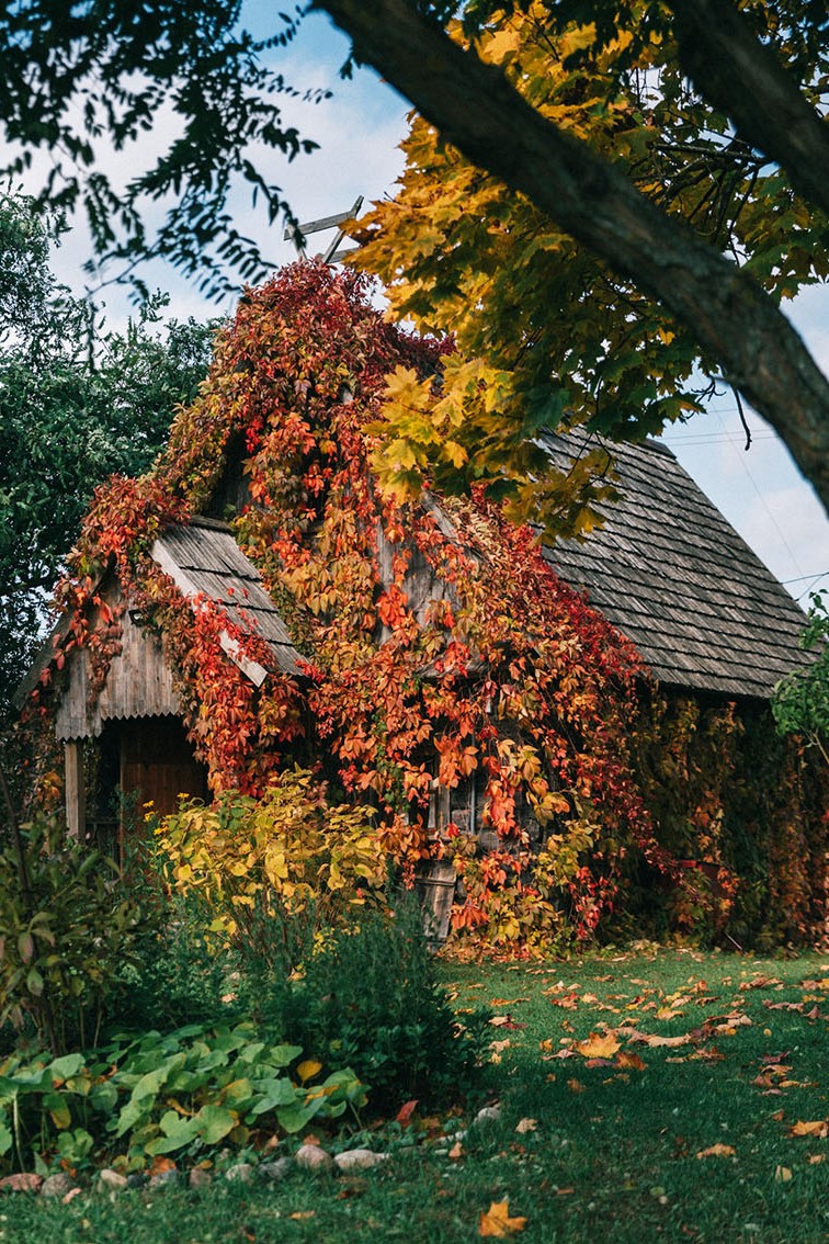 Экскурсіі ў Фальварак Ракуцёўшчына