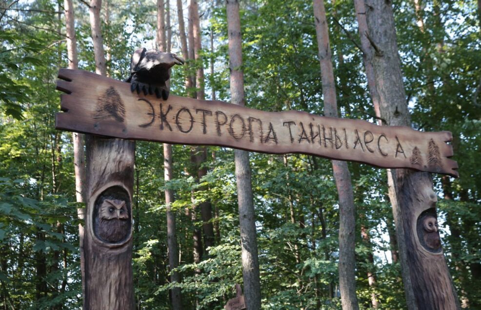 Экотропа «Тайны леса» в Заславле — новое место для отдыха всей семьи под Минском