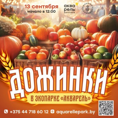 Дожинки в экопарке «Акварель»: битва овощей,  гастрономический экстаз и дискотека огородников